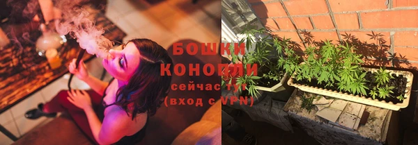 гидра Майский