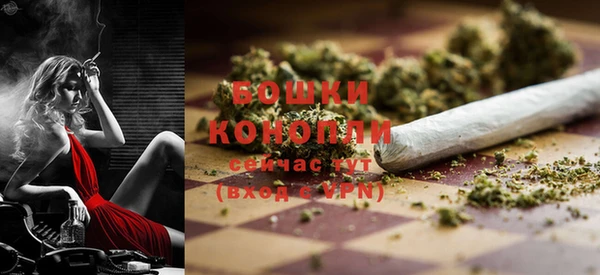 гидра Майский