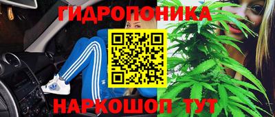 винт Дубна