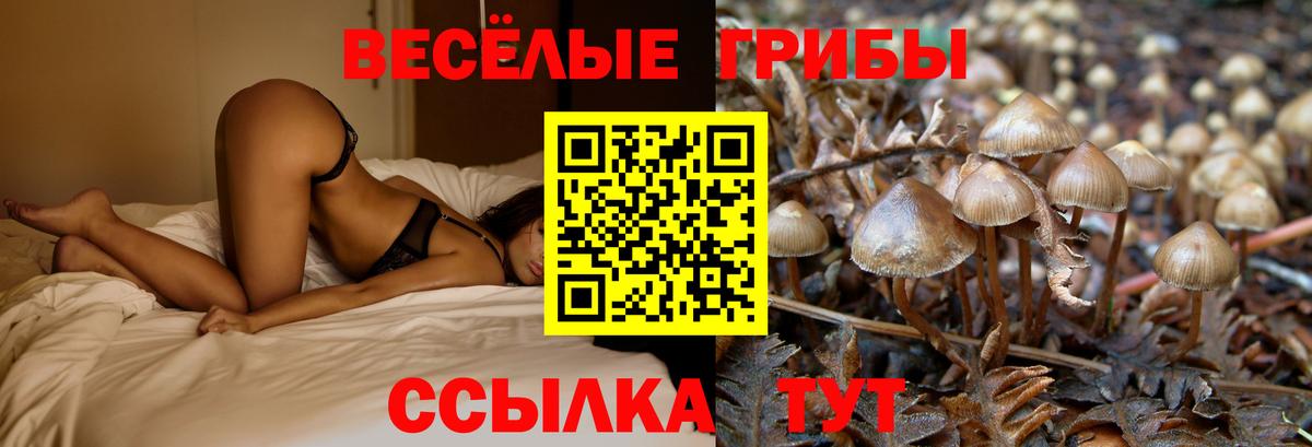 Галлюциногенные грибы ЛСД  Галлюциногенные грибы Magic Shrooms  Копейск  Вход с VPN 
