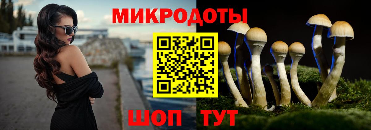 Псилоцибиновые грибы Psilocybe  Копейск 